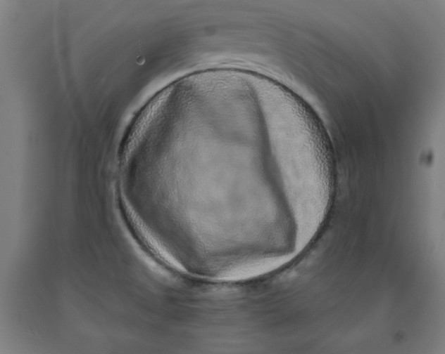 X0000091921525200709261631