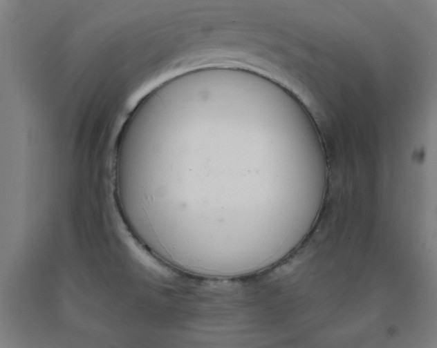 X0000091921526200709261631