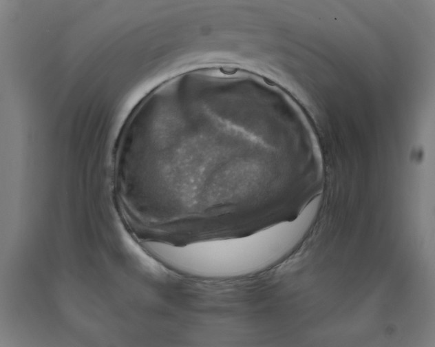 X0000091921527200709261631