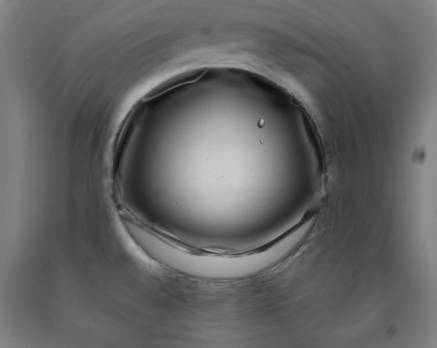 X0000091921528200709261631