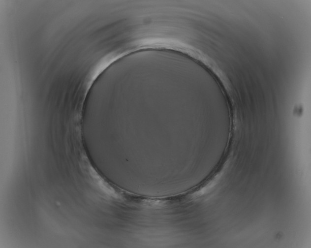 X0000091921529200709261631