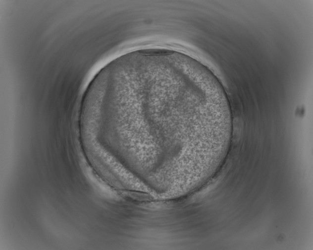 X0000091921530200709261631