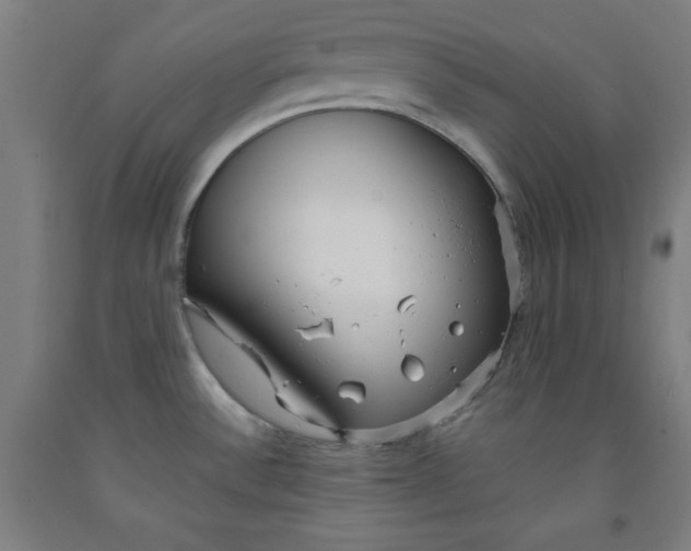 X0000091921532200709261631