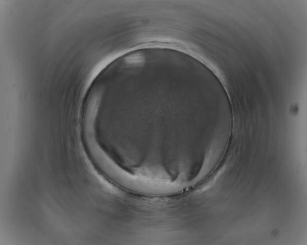 X0000091921533200709261631