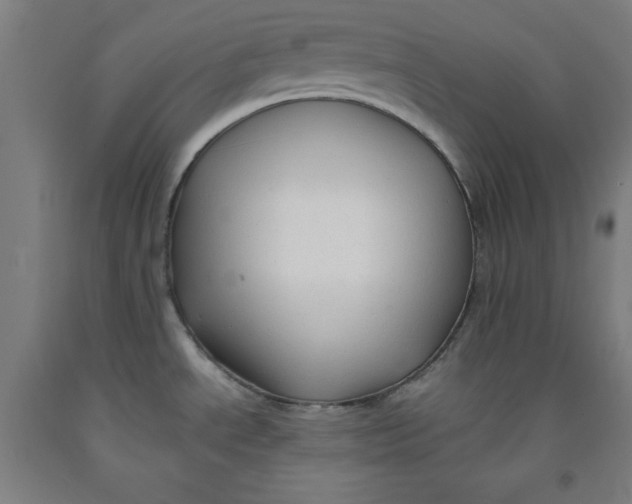 X0000091921534200709261631