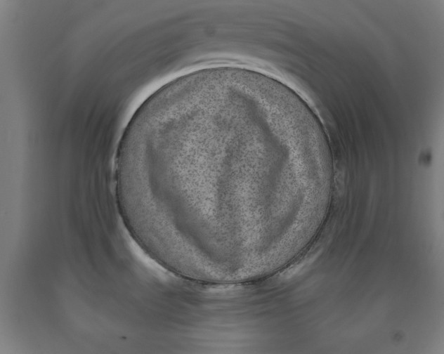 X0000091921535200709261631