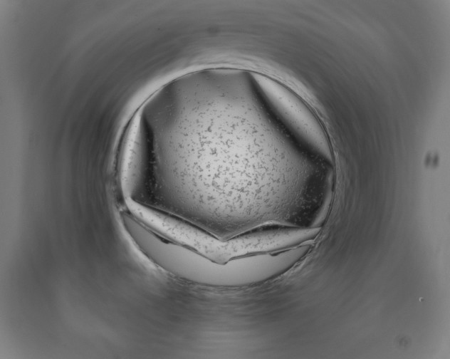 X0000091921536200709261631