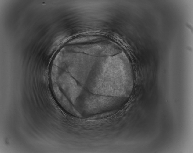 X0000091920002200710031048