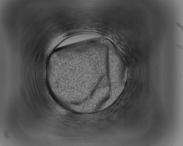 X0000091920005200710031048