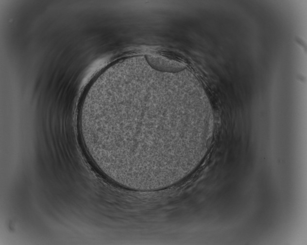 X0000091920006200710031048