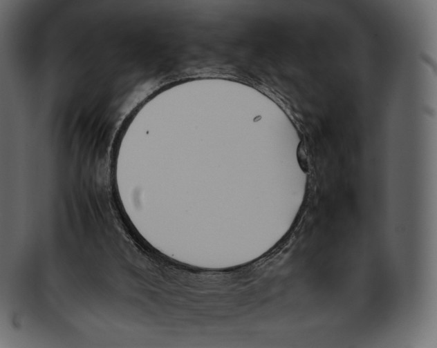 X0000091920008200710031048