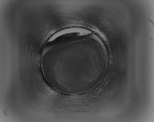 X0000091920009200710031048