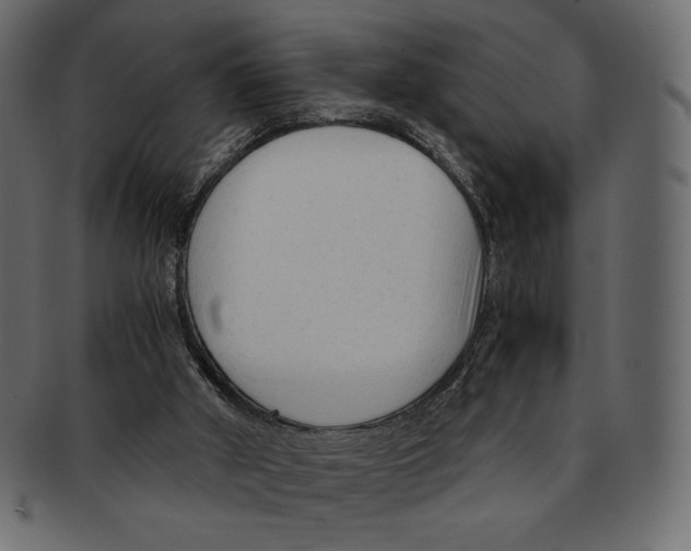 X0000091920010200710031048