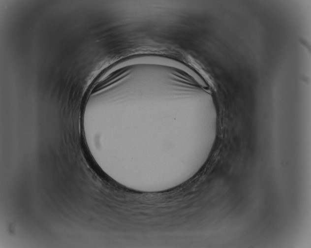 X0000091920011200710031048