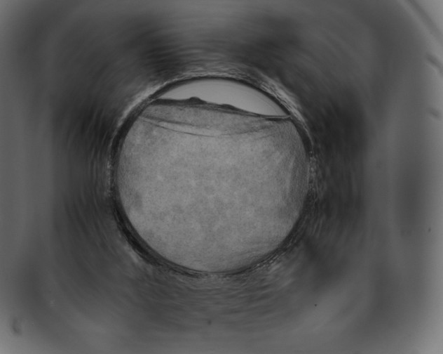 X0000091920012200710031048