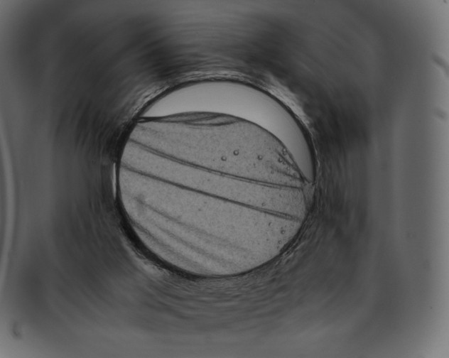 X0000091920013200710031048