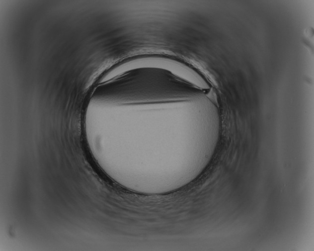 X0000091920015200710031048