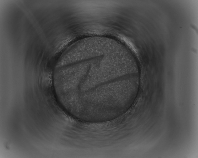 X0000091920017200710031048