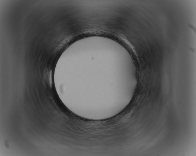 X0000091920020200710031048