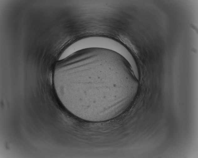 X0000091920021200710031048