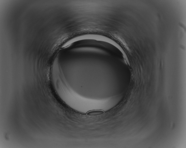 X0000091920023200710031048