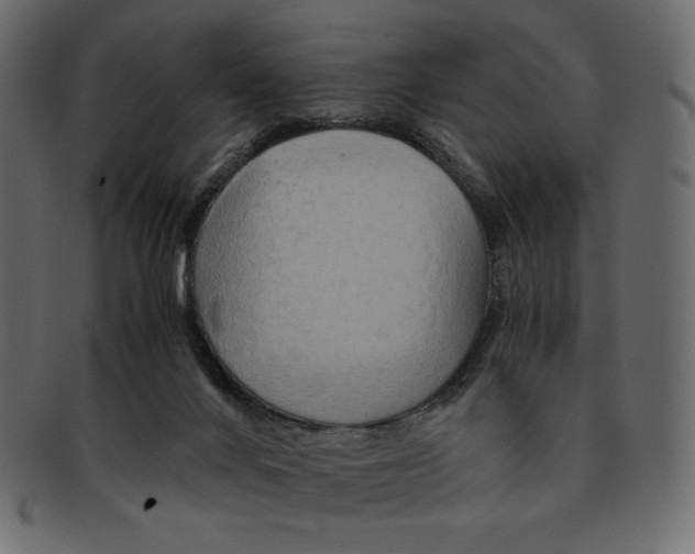X0000091920024200710031048