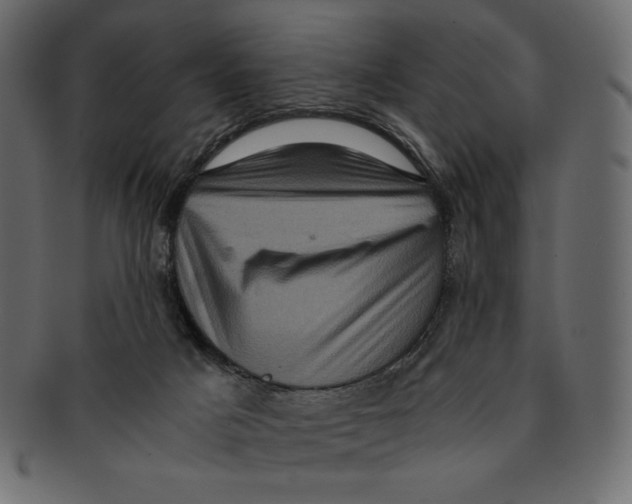 X0000091920025200710031048