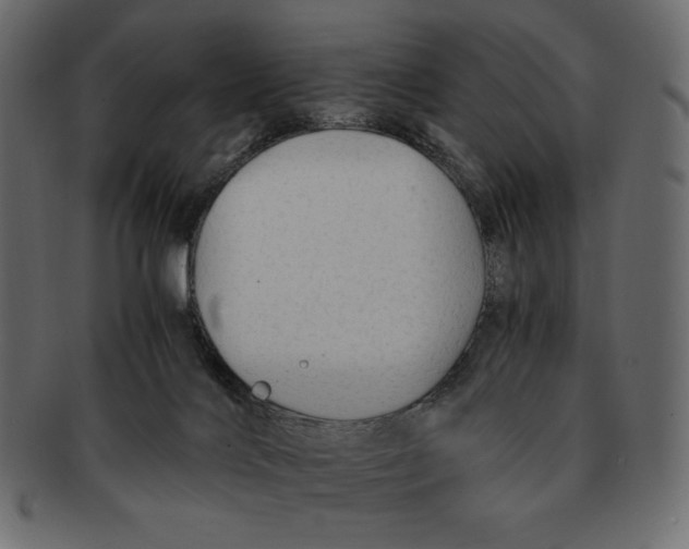 X0000091920028200710031048