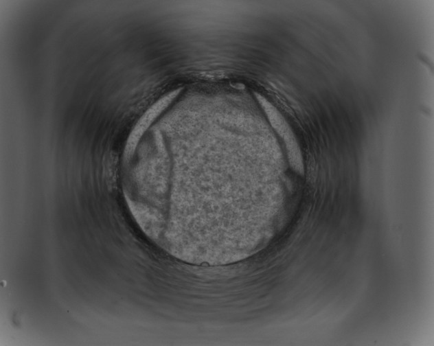 X0000091920030200710031048