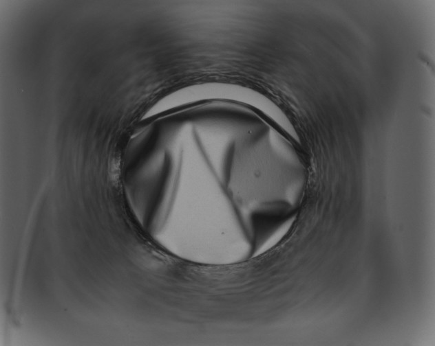 X0000091920033200710031048