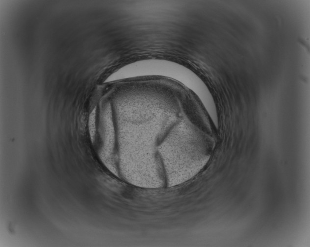 X0000091920037200710031048