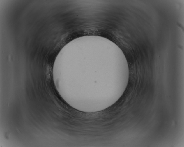 X0000091920038200710031048