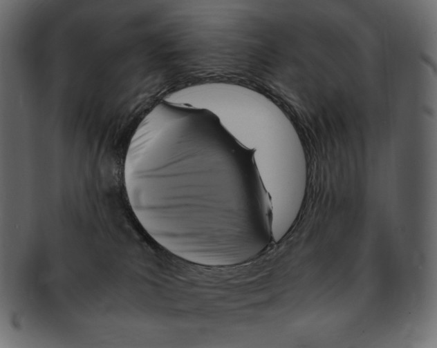X0000091920039200710031048