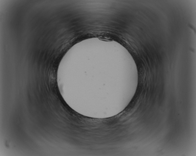 X0000091920040200710031048