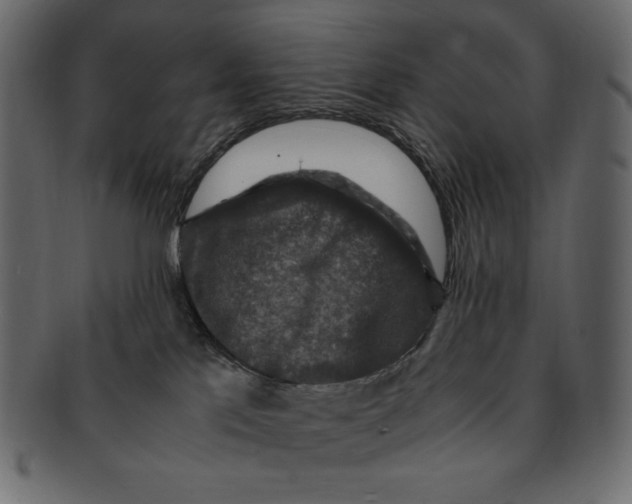 X0000091920041200710031048