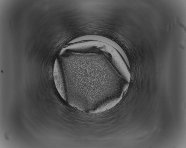 X0000091920043200710031048