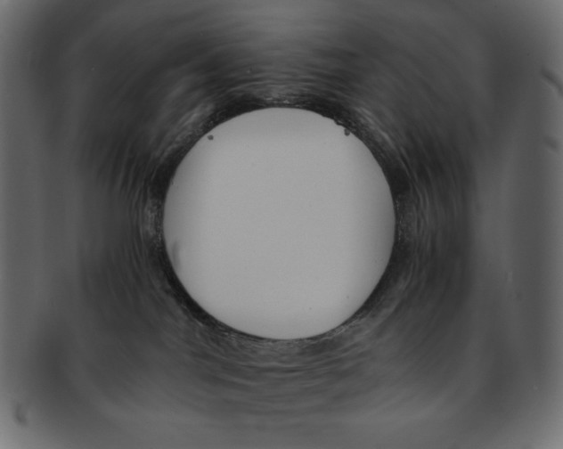 X0000091920044200710031048