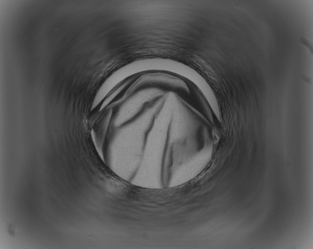 X0000091920045200710031048