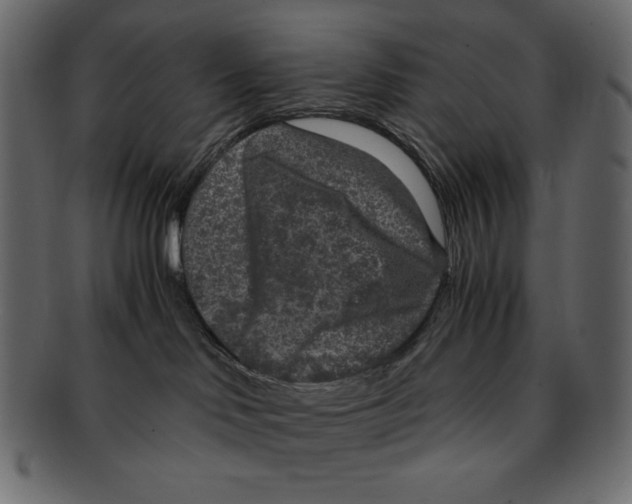X0000091920046200710031048