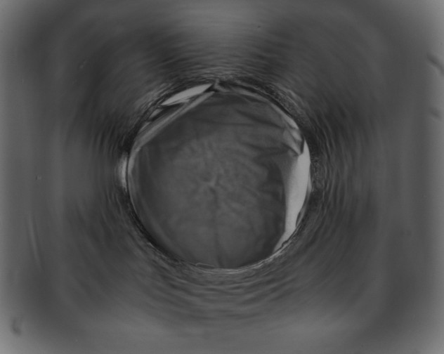 X0000091920047200710031048