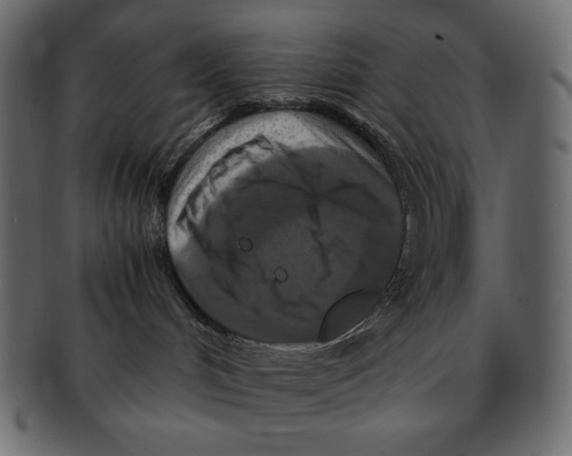X0000091920048200710031048