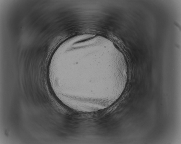 X0000091920049200710031047
