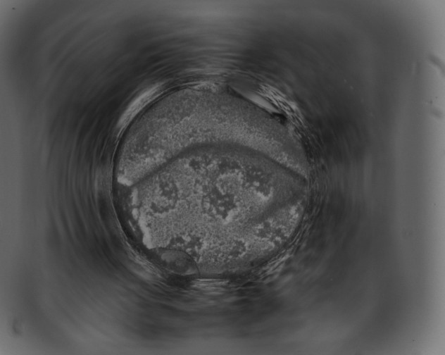 X0000091920051200710031047