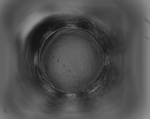 X0000091920052200710031047