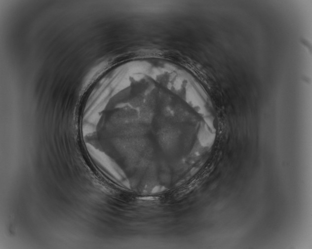 X0000091920053200710031047