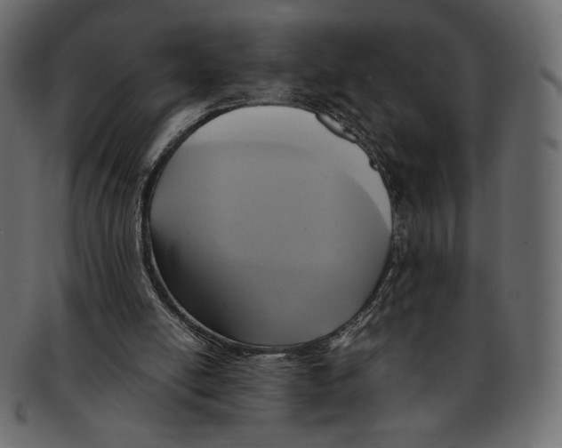 X0000091920054200710031047