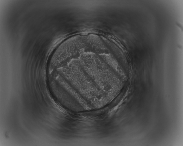 X0000091920055200710031047
