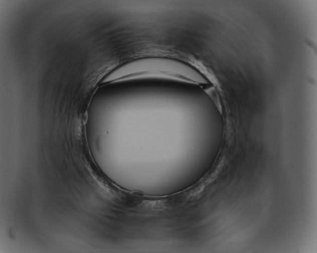 X0000091920057200710031047
