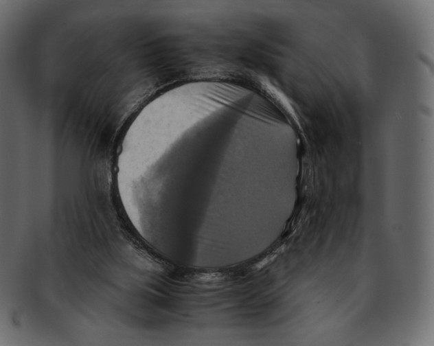 X0000091920059200710031047