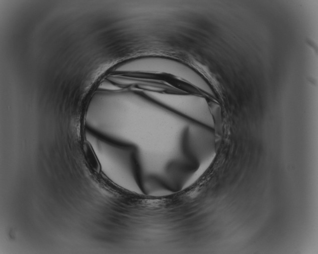 X0000091920060200710031047
